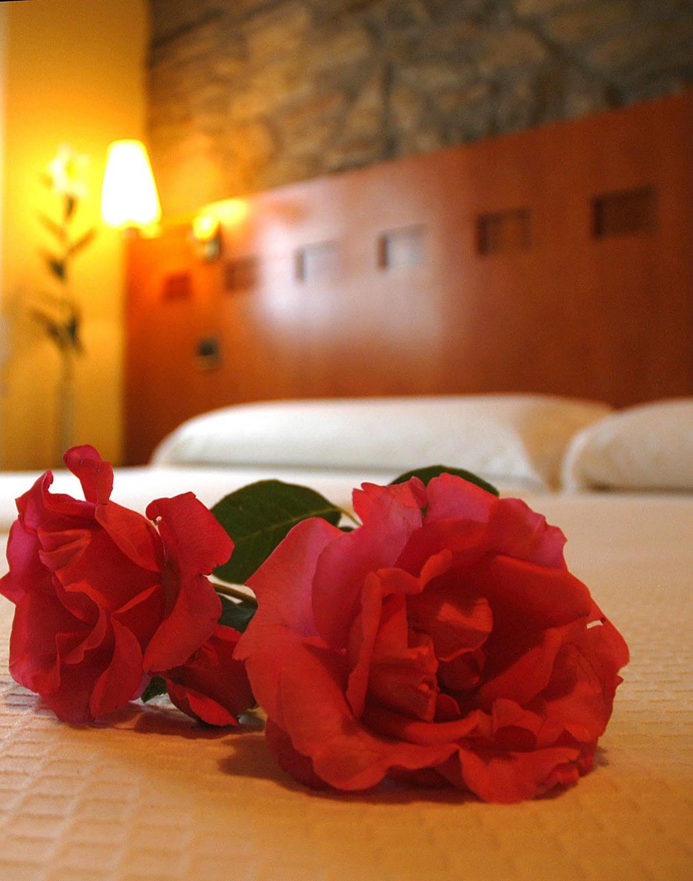 Hotel Entrecercas Santiago de Compostela